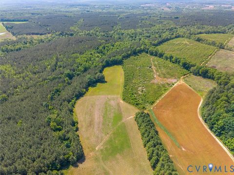 Tiny photo for 8120 Mt Zion Road, Jetersville, VA 23083 (MLS # 2614536)