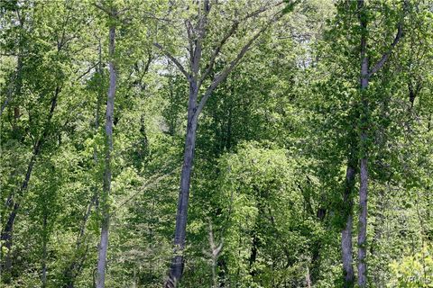 Tiny photo for 0 Old Apple Grove Road, Mineral, VA 23117 (MLS # 2519090)