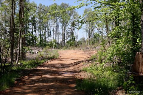Tiny photo for 0 Old Apple Grove Road, Mineral, VA 23117 (MLS # 2519090)
