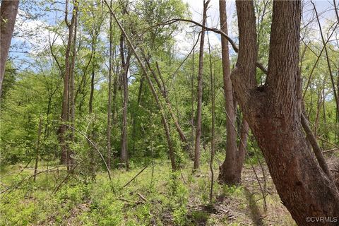 Tiny photo for 0 Old Apple Grove Road, Mineral, VA 23117 (MLS # 2519090)