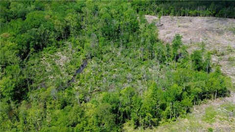 Tiny photo for 0 Old Apple Grove Road, Mineral, VA 23117 (MLS # 2519090)