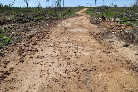 Tiny photo for 0 Old Apple Grove Road, Mineral, VA 23117 (MLS # 2519090)