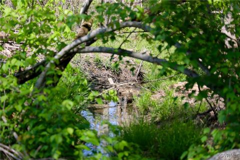 Tiny photo for 0 Old Apple Grove Road, Mineral, VA 23117 (MLS # 2519090)