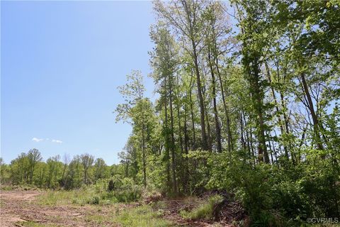 Tiny photo for 0 Old Apple Grove Road, Mineral, VA 23117 (MLS # 2519090)