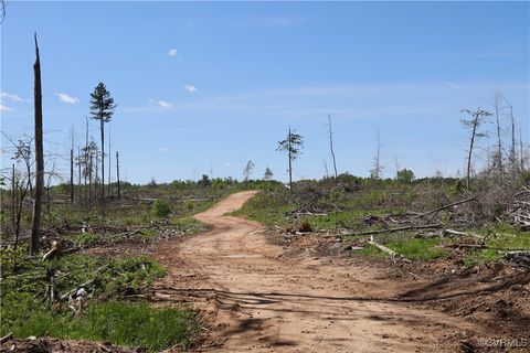 Tiny photo for 0 Old Apple Grove Road, Mineral, VA 23117 (MLS # 2519090)