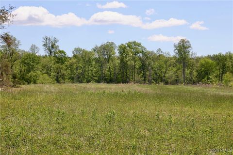 Photo of 0 Old Apple Grove Road, Mineral, VA 23117 (MLS # 2519090)