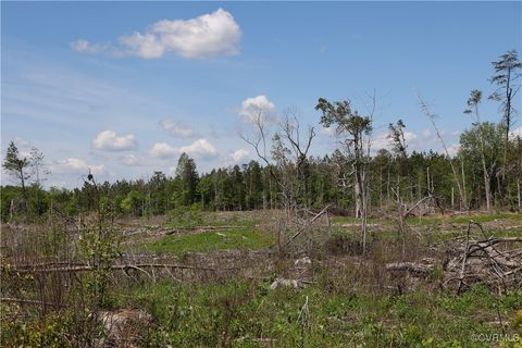 Tiny photo for 0 Old Apple Grove Road, Mineral, VA 23117 (MLS # 2519090)