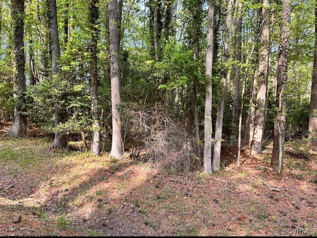 Photo for Lot# 140 Bishop Drive, Montross, VA 22520 (MLS # 2513721)