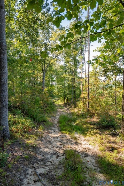 Tiny photo for 00 Mountain Hall Road, Crewe, VA 23930 (MLS # 2624740)