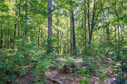 Tiny photo for 00 Mountain Hall Road, Crewe, VA 23930 (MLS # 2624740)