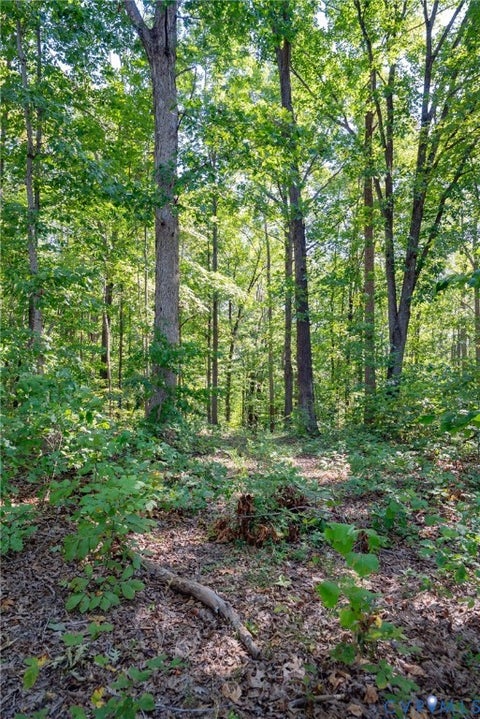Tiny photo for 00 Mountain Hall Road, Crewe, VA 23930 (MLS # 2624740)