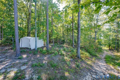 Tiny photo for 00 Mountain Hall Road, Crewe, VA 23930 (MLS # 2624740)