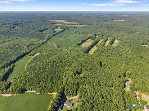 Tiny photo for 15971 Branchs Road, DeWitt, VA 23840 (MLS # 2623317)