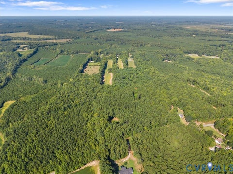 Tiny photo for 15971 Branchs Road, DeWitt, VA 23840 (MLS # 2623317)