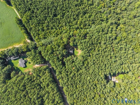 Tiny photo for 15971 Branchs Road, DeWitt, VA 23840 (MLS # 2623317)