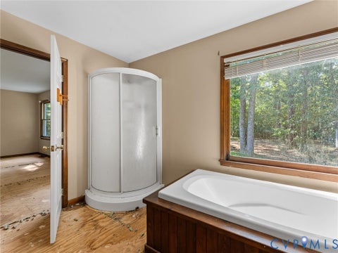 Tiny photo for 15971 Branchs Road, DeWitt, VA 23840 (MLS # 2623317)