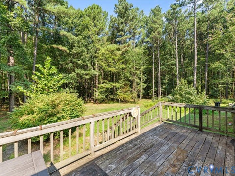 Tiny photo for 15971 Branchs Road, DeWitt, VA 23840 (MLS # 2623317)