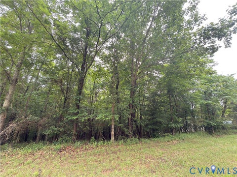 Tiny photo for 1030 independence Drive, Martinsville, VA 24112 (MLS # 2616595)