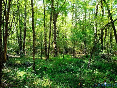 Tiny photo for 4460 Three Square Road, Goochland, VA 23063 (MLS # 2528631)