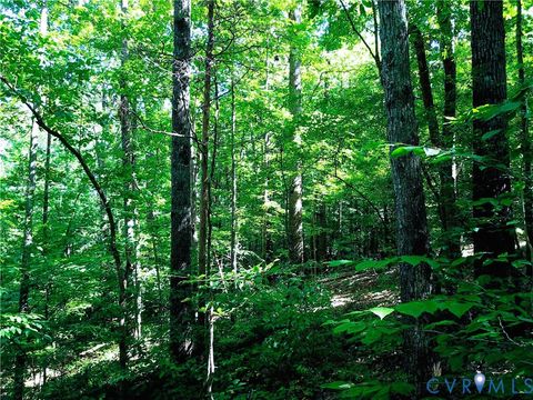 Tiny photo for 4460 Three Square Road, Goochland, VA 23063 (MLS # 2528631)