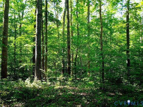Tiny photo for 4460 Three Square Road, Goochland, VA 23063 (MLS # 2528631)