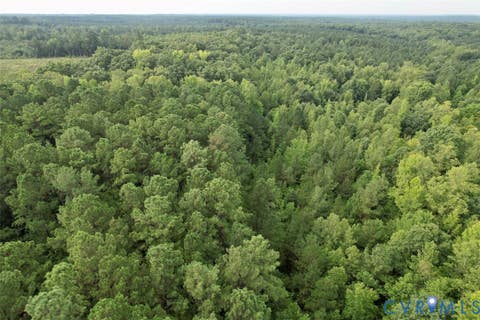 Tiny photo for Alberta, VA 23821 (MLS # 2622171)
