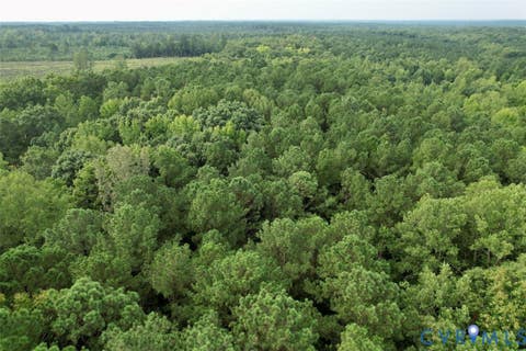 Tiny photo for Alberta, VA 23821 (MLS # 2622171)