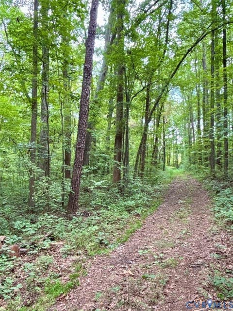 Tiny photo for Alberta, VA 23821 (MLS # 2622171)