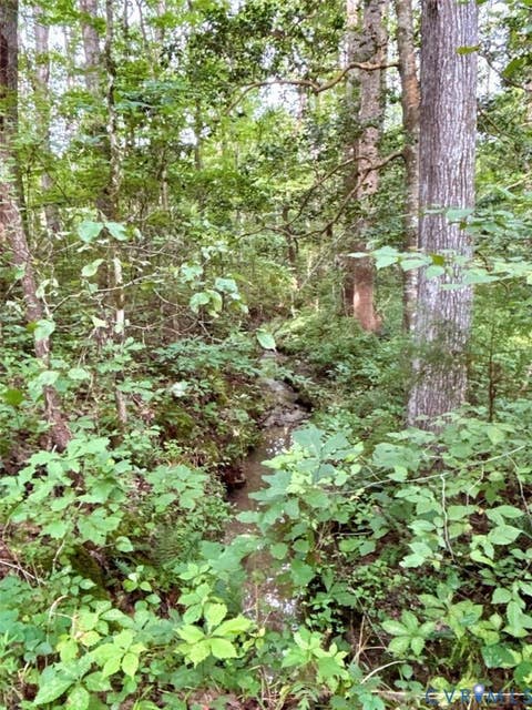Tiny photo for Alberta, VA 23821 (MLS # 2622171)