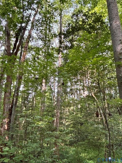 Tiny photo for Alberta, VA 23821 (MLS # 2622171)