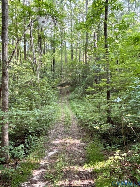 Tiny photo for Alberta, VA 23821 (MLS # 2622171)