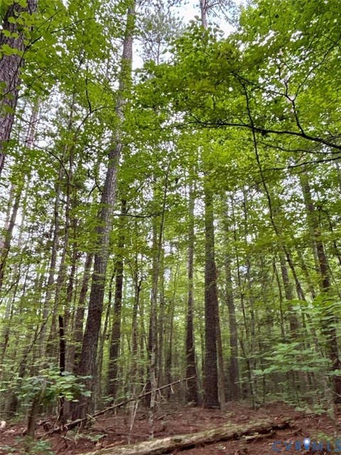 Tiny photo for Alberta, VA 23821 (MLS # 2622171)