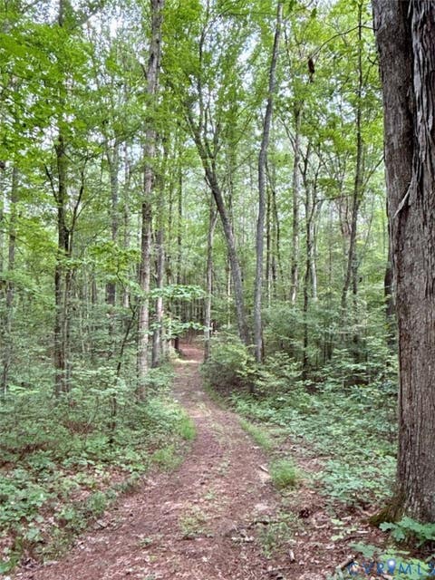Tiny photo for Alberta, VA 23821 (MLS # 2622171)