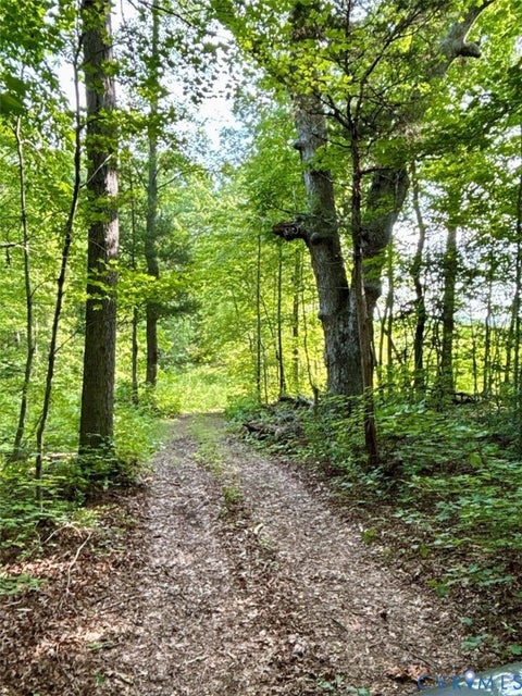 Tiny photo for Alberta, VA 23821 (MLS # 2622171)
