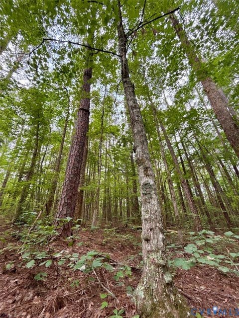 Tiny photo for Alberta, VA 23821 (MLS # 2622171)