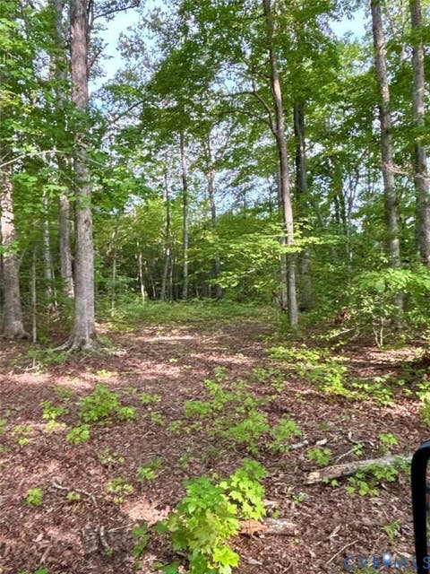 Tiny photo for Alberta, VA 23821 (MLS # 2622171)