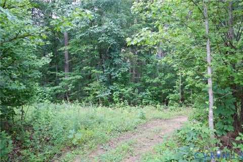 Tiny photo for 0 Moorefield Road, Mineral, VA 23117 (MLS # 2618816)
