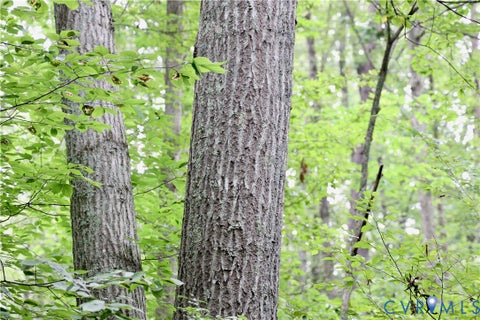 Tiny photo for 0 Moorefield Road, Mineral, VA 23117 (MLS # 2618816)