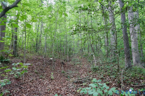 Tiny photo for 0 Moorefield Road, Mineral, VA 23117 (MLS # 2618816)