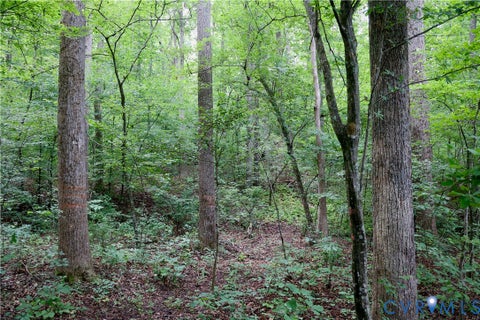 Tiny photo for 0 Moorefield Road, Mineral, VA 23117 (MLS # 2618816)