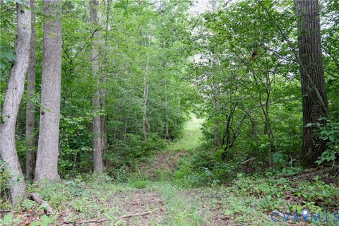 Tiny photo for 0 Moorefield Road, Mineral, VA 23117 (MLS # 2618816)