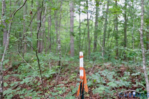 Tiny photo for 0 Moorefield Road, Mineral, VA 23117 (MLS # 2618816)