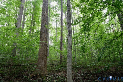 Tiny photo for 0 Moorefield Road, Mineral, VA 23117 (MLS # 2618816)
