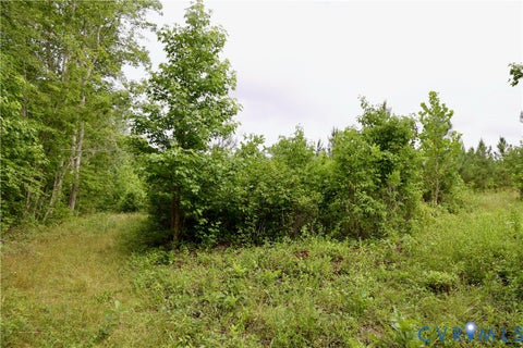 Tiny photo for 0 Moorefield Road, Mineral, VA 23117 (MLS # 2618816)