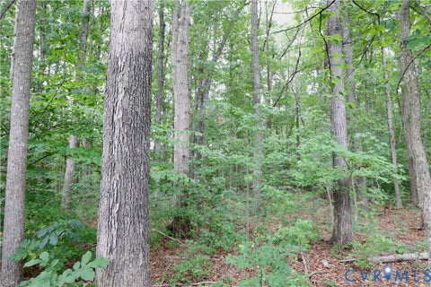 Tiny photo for 0 Moorefield Road, Mineral, VA 23117 (MLS # 2618816)