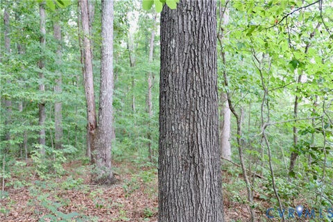 Tiny photo for 0 Moorefield Road, Mineral, VA 23117 (MLS # 2618816)