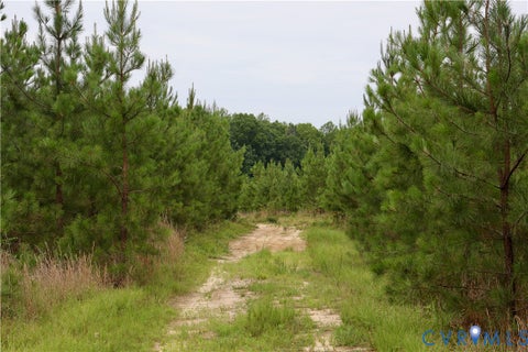 Tiny photo for 0 Moorefield Road, Mineral, VA 23117 (MLS # 2618816)