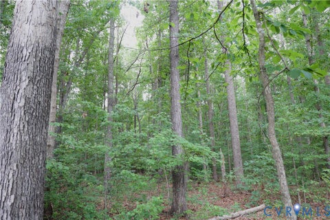 Tiny photo for 0 Moorefield Road, Mineral, VA 23117 (MLS # 2618816)