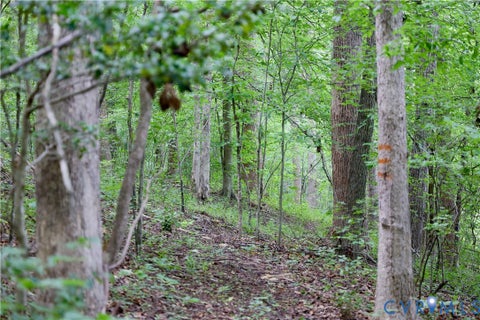 Tiny photo for 0 Moorefield Road, Mineral, VA 23117 (MLS # 2618816)