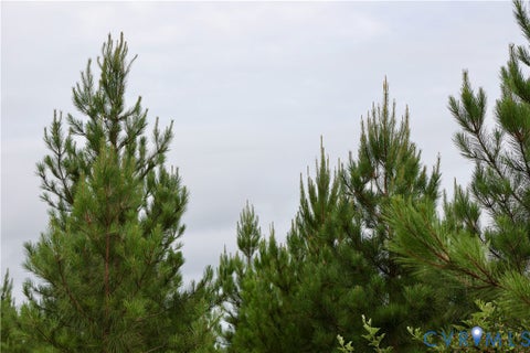 Tiny photo for 0 Moorefield Road, Mineral, VA 23117 (MLS # 2618816)